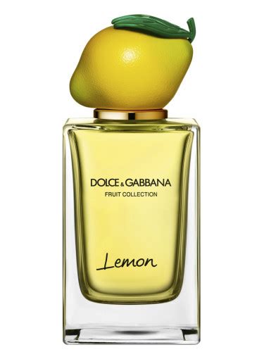 dolce and gabbana citrus perfume.